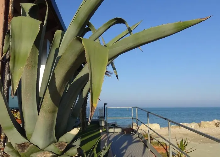 La Magnolia Apartamento